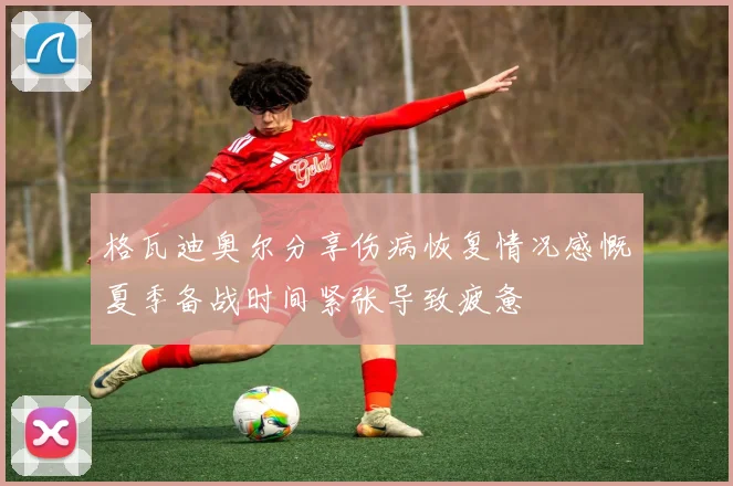 格瓦迪奥尔分享伤病恢复情况感慨夏季备战时间紧张导致疲惫