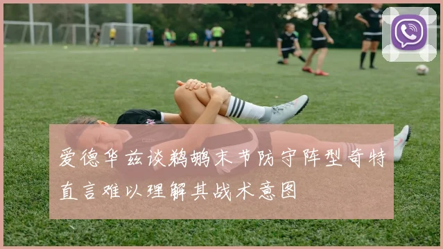 爱德华兹谈鹈鹕末节防守阵型奇特直言难以理解其战术意图